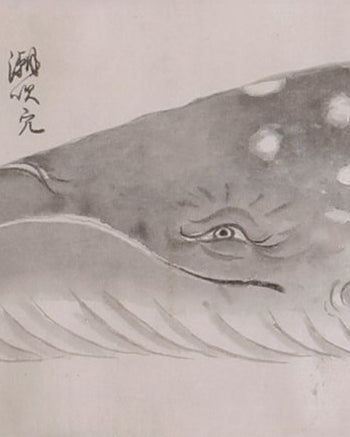 Japanese Whale Watercolors