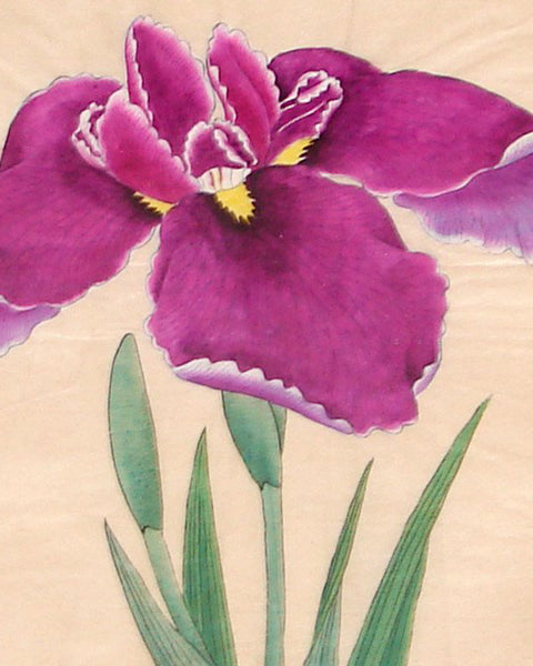 Japanese Iris Woodblock Watercolors