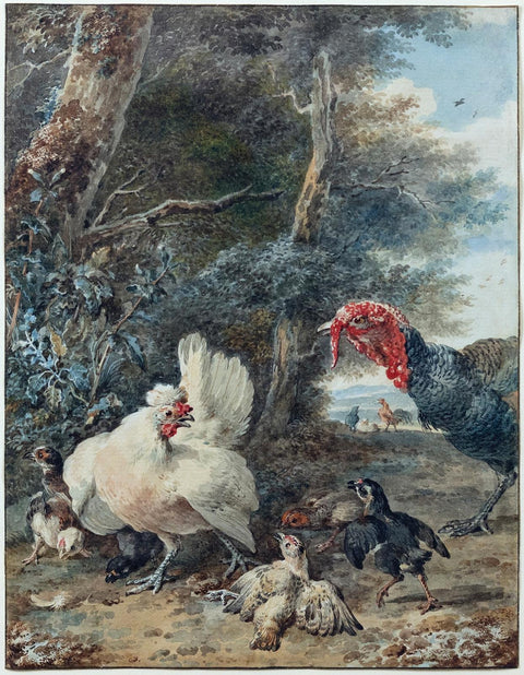 Aert Shouman. A Turkey Startling Chickens. 1775.