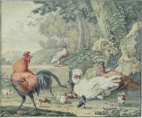 Aert Shouman. Chicken Fowl. 1775.