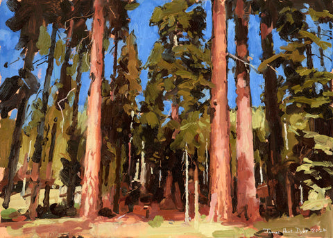 Mariposa Grove 2