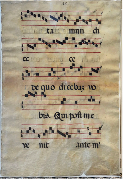 Benedicta sit sancta creatura...