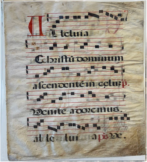 Christum Dominum ascendentem in caelum: Venite adoremus