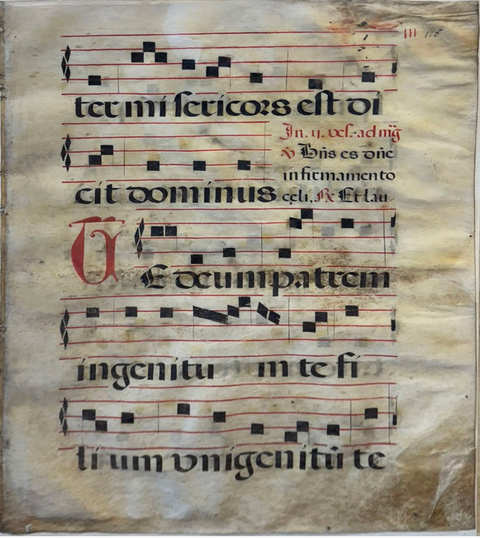 Ecce agnus Dei...