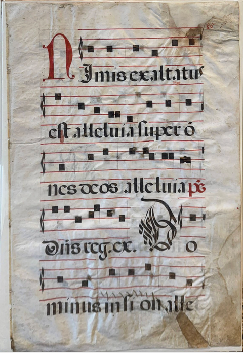 Immis exaltatus est Dominus...