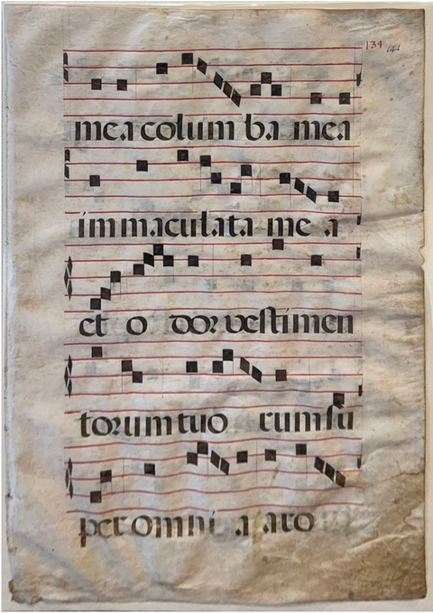 Mea columba mea...