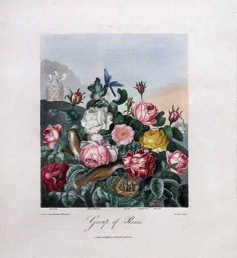 Group of Roses